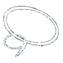 volBrain logo