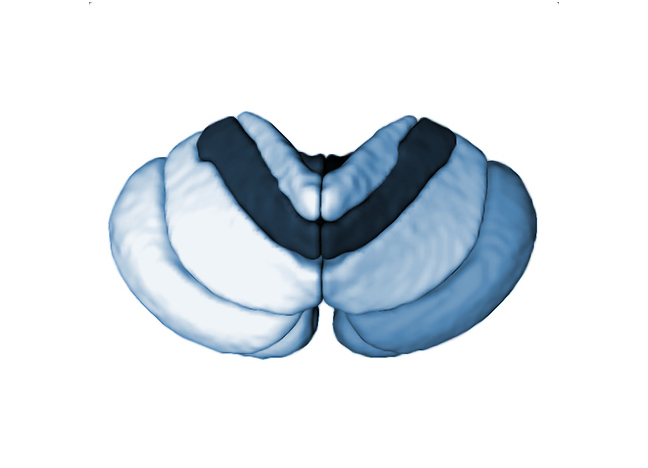 service icon