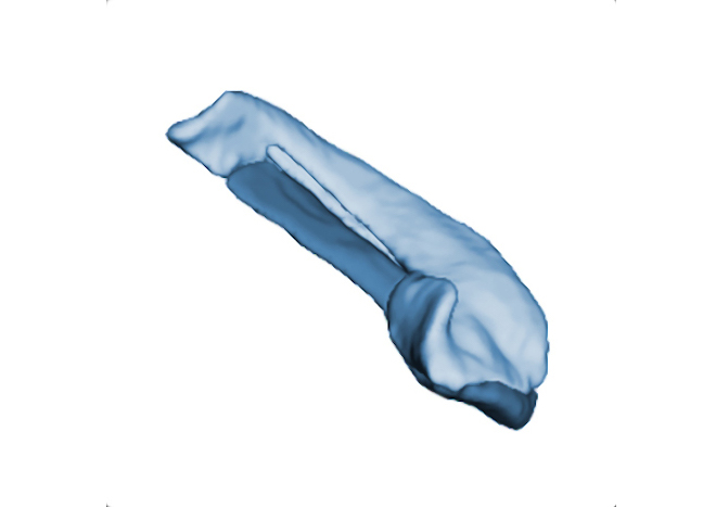 service icon