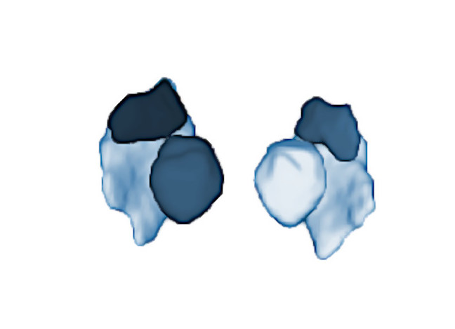 service icon